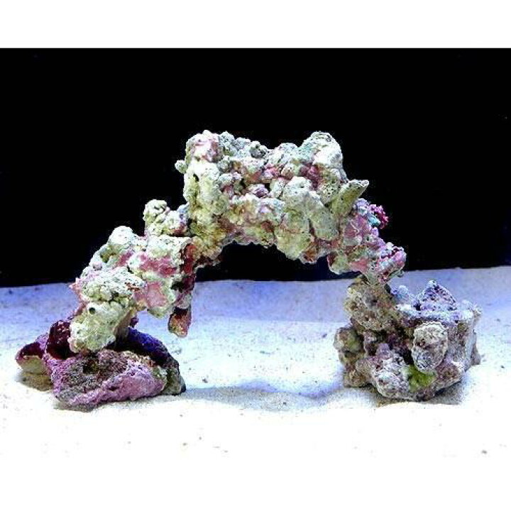 ライブロック10kg ５kg ２セット