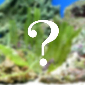 iCjC@a@܂C@50g@kCEBq֗vۉ