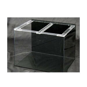 [J[@@AN@ANNA^N@ʁEwi90×45×45cmE5×5×5mmj@sEʓr