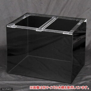 [J[@i󒍐Yj@ANNA^N@ʁEwʁEʔi120×45×45cmj@s@ʓr