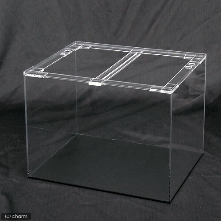 楽天市場】水槽 アクリル水槽 アクリルクリアタンク 底面板黒（600  