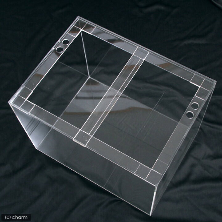 楽天市場】水槽 アクリル水槽 アクリルクリアタンク（600×300  