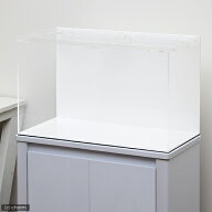 メーカー直送（受注生産）水槽　アクリル水槽　アクリルクリアタンク　底面・背面板白（60×30×36cm・板…