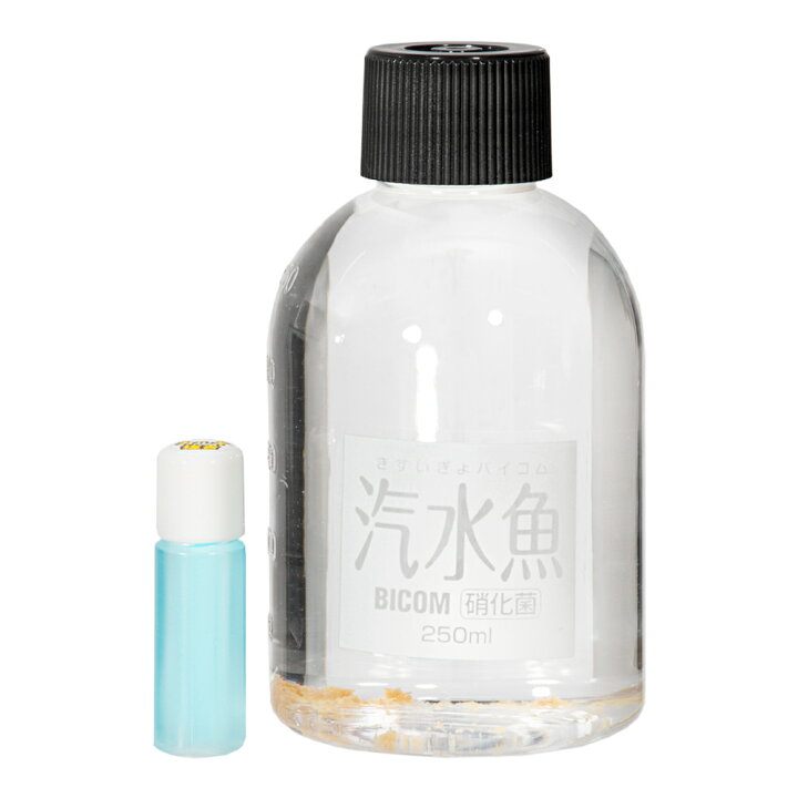 楽天市場 汽水魚バイコム 硝化菌 ２５０ｍｌ バクテリア 汽水魚 観賞魚 関東当日便 Charm 楽天市場店