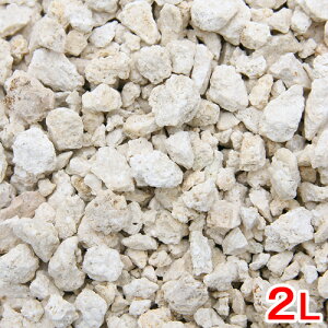 JVEAN^[p@eASiCgfBA@2L@Cp@֓