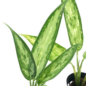 ieEjAOIl}@Vo[NC[i1|bgj@kCEBq֗vۉ