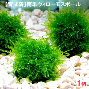 ij琬ρ@ăEB[X@{[itji_ji1j