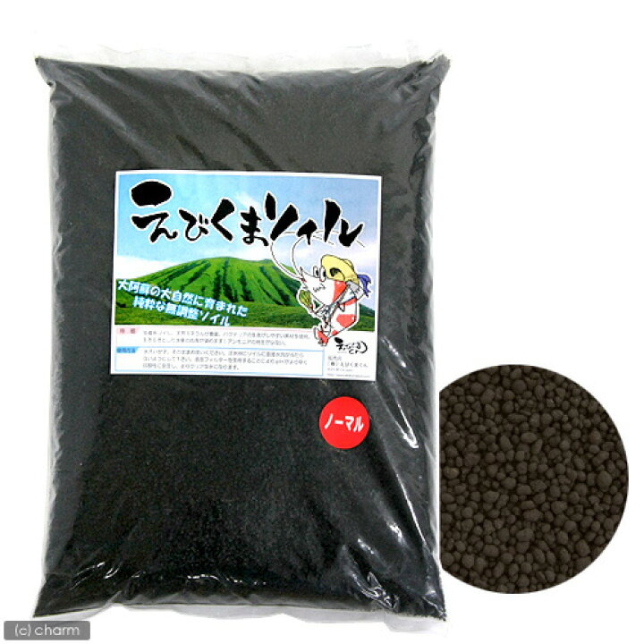 22春夏新色 株 マルカン ニッソー カスタムソイルシュリンプブラック 3l Dprd Jatimprov Go Id