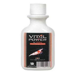 JUN@Vv̂߂̃oNeA@100mL@Gr@@֓