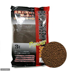 \lP~t@@ѐ΃p[\C@@@3L@Mы@pi@֓