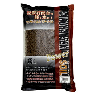 \lP~t@@ѐ΃p[\C@嗱@@3L@Mы@pi@֓