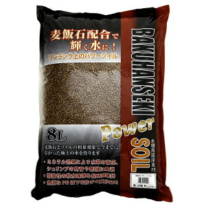 \lP~t@@ѐ΃p[\C@嗱@@8L@Mы@pi@֓