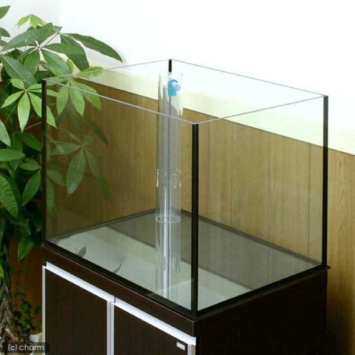 ワケ有り 600x450x600㎜オーバーフロー水槽セット ブラックシリコン 