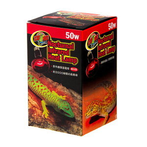 ZOOMED@ԊOۉd@Ctbhq[gv@50W@঒ށ@ۉ@֓