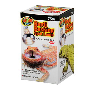 ZOOMED@veB@oXLOX|bgv@75W@঒ށ@ۉ@֓