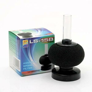 LSS@{́@LSSX|WtB^[@LS|15B@GA[V@֓