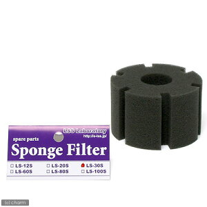 LSS@X|W@X|WtB^[@LS|30Sp@֓