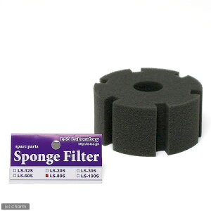 LSS@X|W@X|WtB^[@LS|80Sp