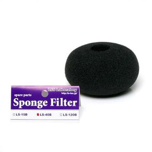 LSS@X|W@X|WtB^[@LS|40Bp@֓