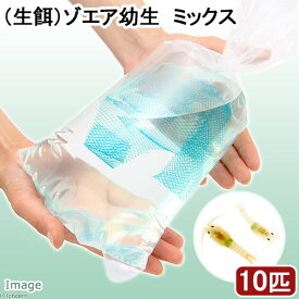 楽天市場 活き エビ 餌 熱帯魚 アクアリウム ペット ペットグッズ の通販