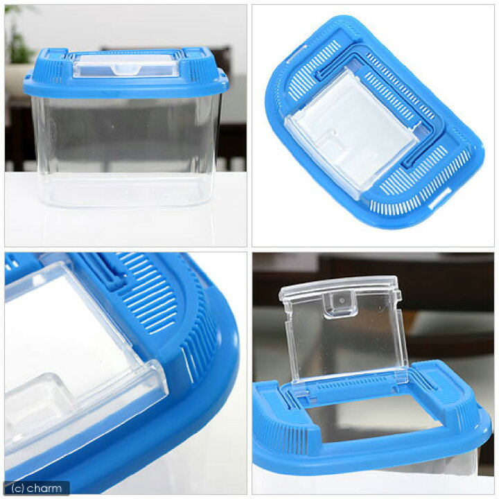 楽天市場】プラケース 飼育容器 ワイドミニ 青（175×110 
