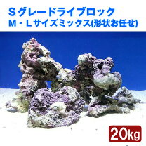 楽天市場】ライブロック 10kgの通販