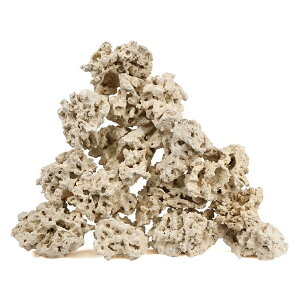 }RbN@[tZ[o[@GbWiEdgej@STCY@8`10kg@TS@΁@C@@@CAEg@֓