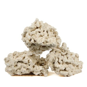 }RbN@[tZ[o[@GbWXiEdgelessj@MTCY@4`5kg@TS@΁@C@@@CAEg@֓