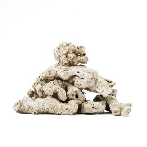 R[{[@TS@100|200@ہ@1kg@֓