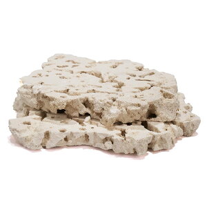 マルコロック スライス L 2枚 サンゴ 石 海水 水槽 飾り レイアウト 関東当日便