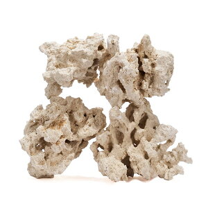 }RbN@[tZ[o[@GbWiEdgej@SSTCY@1kg@TS@΁@C@@@CAEg@֓