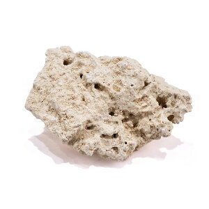 }RbN@VFt SSTCY 10@Cp@p΁@fXbN@΃TS@֓