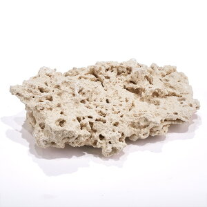 }RbN@VFt@LTCY@20kgZbg@Cp@p΁@fXbN@΃TS@֓