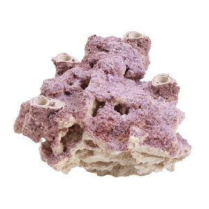 }RbN@Z~bNvOx[X@4vOz[i1j@Cp@p΁@fXbN@΃TS@֓