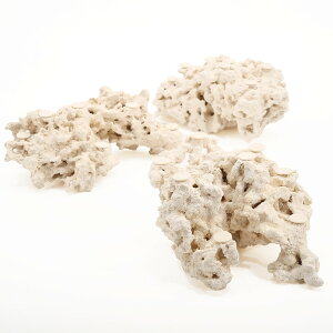 }RbN@[tZ[o[@tOx[X@LTCY@1@Cp@p΁@fXbN@΃TS@֓