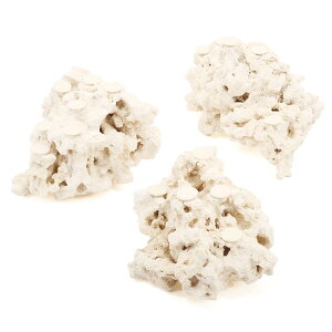 }RbN@[tZ[o[@tOx[X@MTCY@1@Cp@p΁@fXbN@΃TS@֓