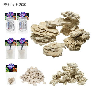 }RbN@VFt@6045pJX^Zbg@֓