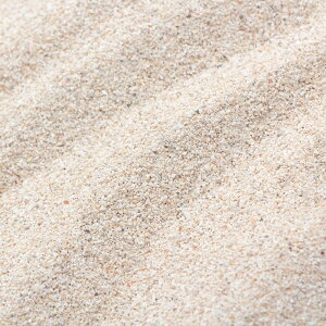 0@CDPDFarm@VRTS0@Natural@coral@sand@3L@֓