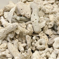 ＃25　C．P．Farm　天然サンゴ砂＃25　Natural　coral　sand　3L　関東当日便