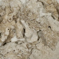 ＃200　C．P．Farm　天然サンゴ砂　＃200　Natural　coral　sand　3L　関東当日便