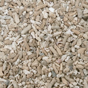 コーラルボーン サンゴ砂 #10 10kg サンゴ砂 リーフタンク向け底床 中目【HLS_DU】 関東当日便