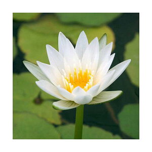 irIg[vj@@Mѐ@iXCjij@NX^i1|bgjiJSjixԁj