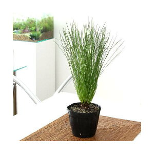 iR쑐j~́@}cij_CIEVEi剤j3D5i1|bgj