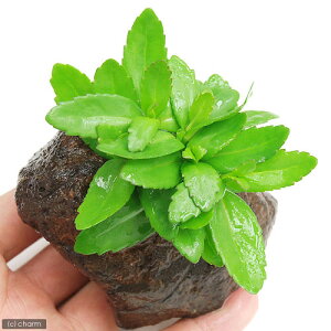 ij}_KXJ@oRpitjnΕti_ji1j