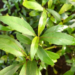 ijj[[W[tnCOitji_ji10{j