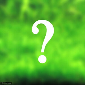 ij܂Oiitj3Zbgi_ji1pbNj