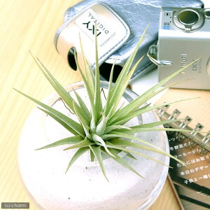 iϗtAjGA[vc@`WA@GXsm[Ti1j