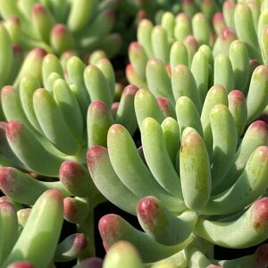 iAjZ_@SiƂ߂j@2D5`3i1|bgj