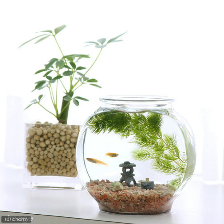 Rqffbx4j k8m Rqffbx4j k8m