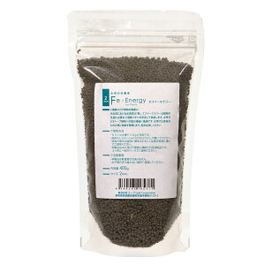 Fe Energy(エフイーエナジー) 400g 2mm (水草の栄養素) 関東当日便